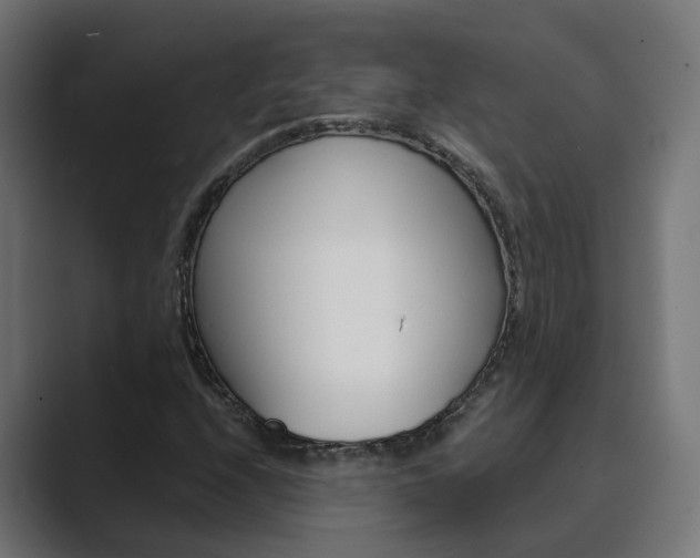 X0000089971208200706291058