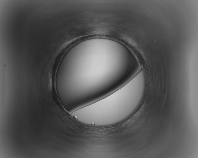X0000089971214200706291058