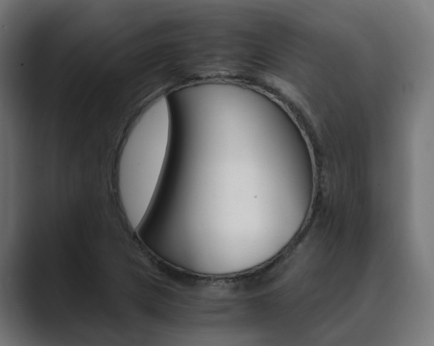 X0000089971217200706291058