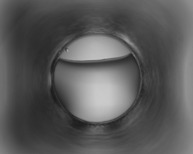 X0000089971221200706291058