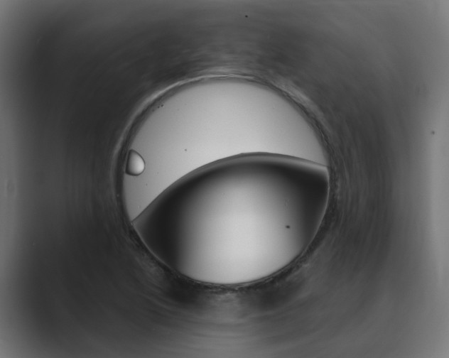 X0000089971222200706291058