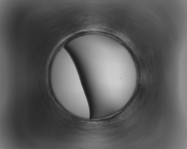 X0000089971224200706291058