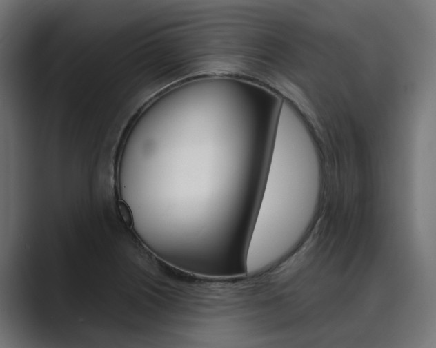 X0000089971226200706291058