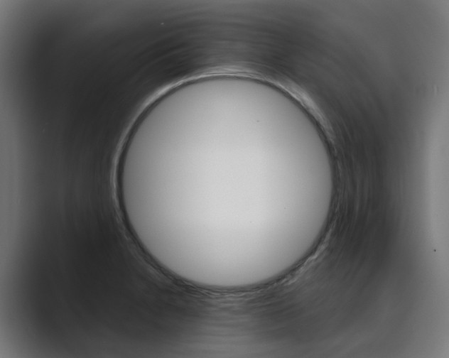 X0000089971230200706291058