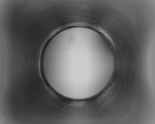 X0000089971237200706291058
