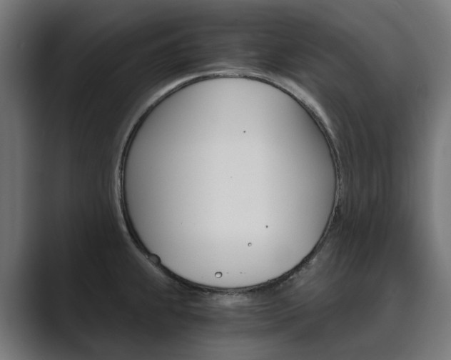X0000089971239200706291058