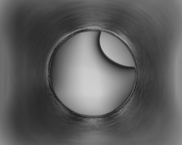 X0000089971240200706291058