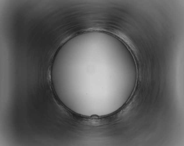 X0000089971241200706291058