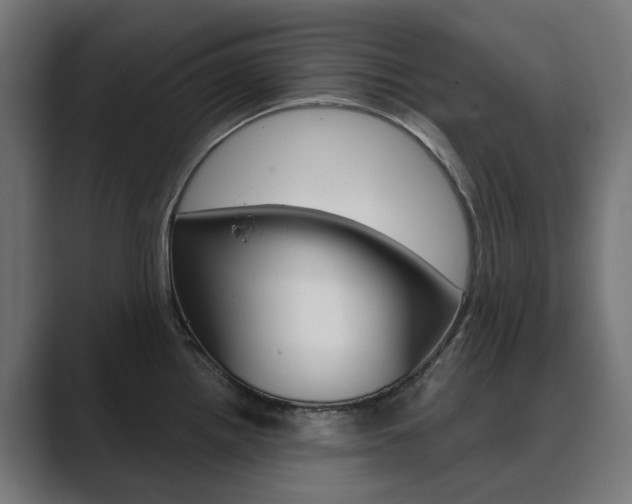 X0000089971242200706291058