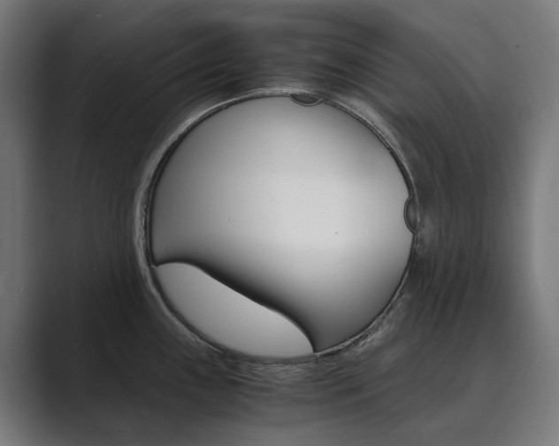 X0000089971243200706291058