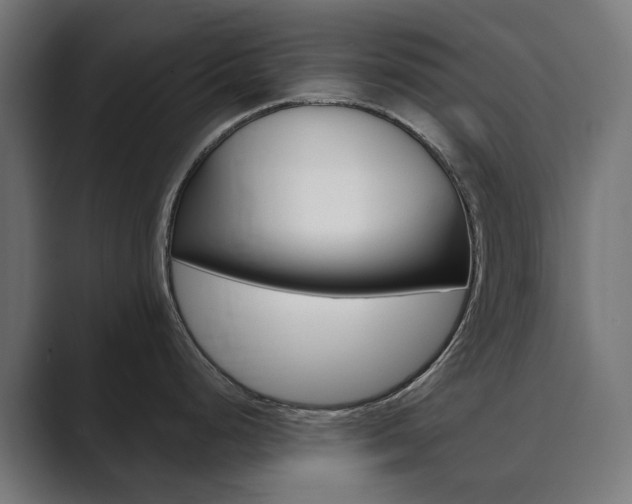 X0000089971248200706291059