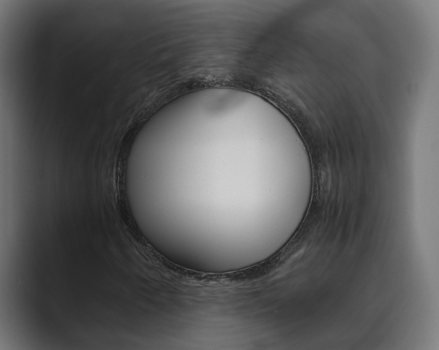 X0000089971250200706291058