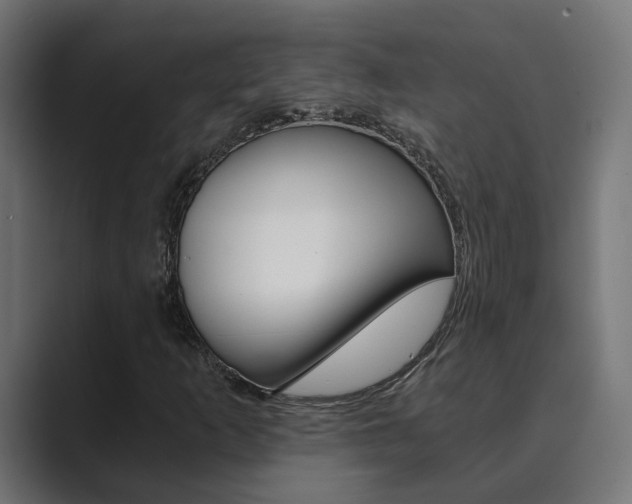 X0000089971253200706291058