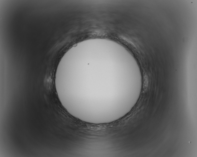 X0000089971254200706291058