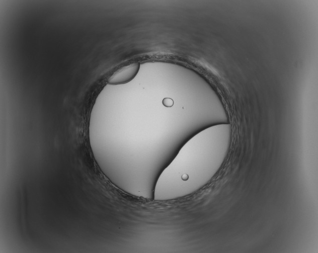 X0000089971255200706291058