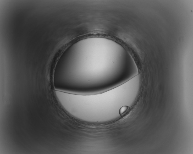 X0000089971261200706291058
