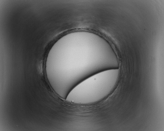 X0000089971262200706291058