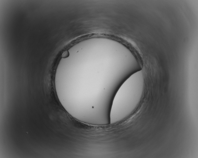 X0000089971263200706291058
