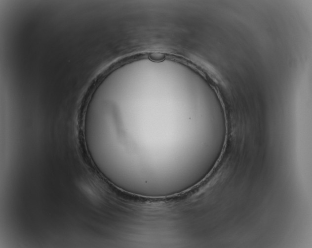 X0000089971264200706291058