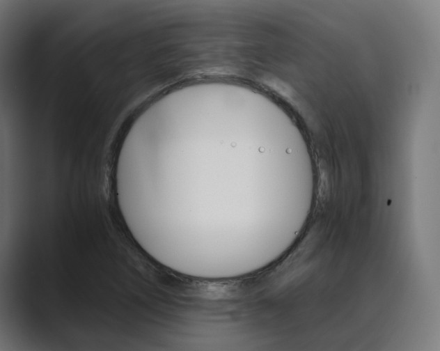 X0000089971266200706291058