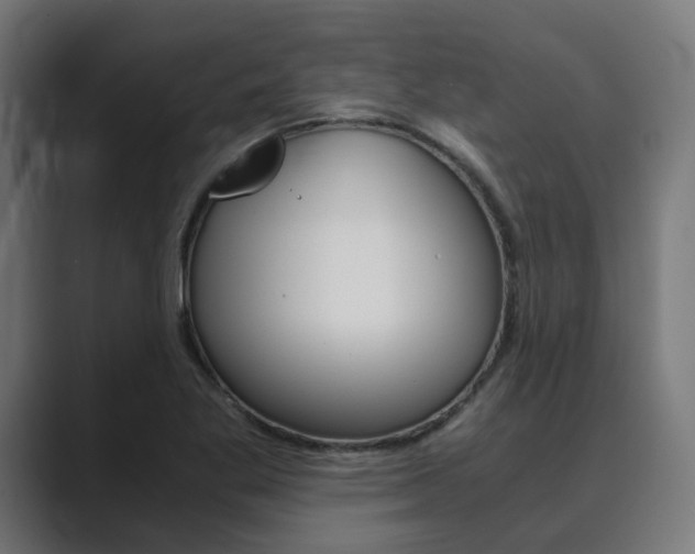X0000089971269200706291058