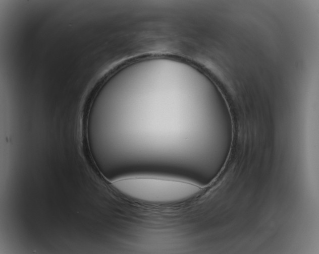 X0000089971270200706291058