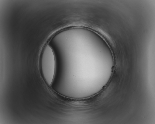 X0000089971272200706291058