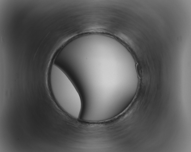 X0000089971277200706291058