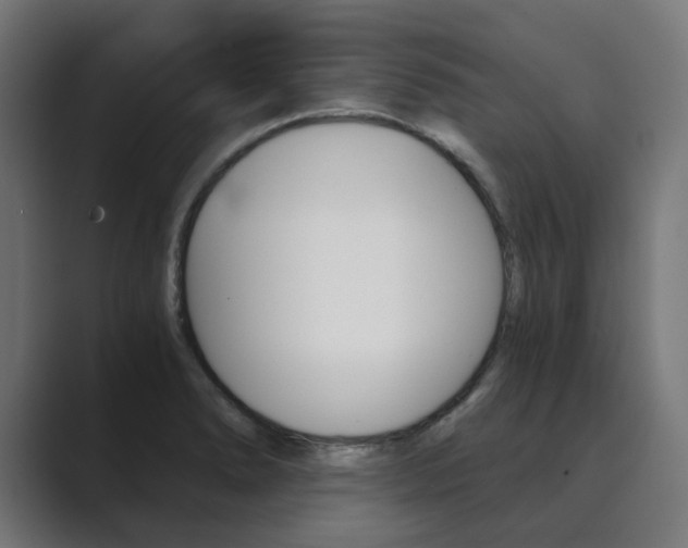 X0000089971278200706291058