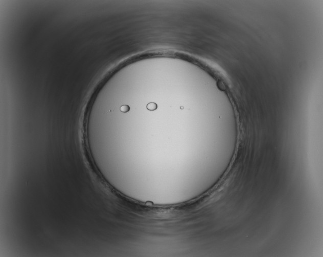 X0000089971279200706291058