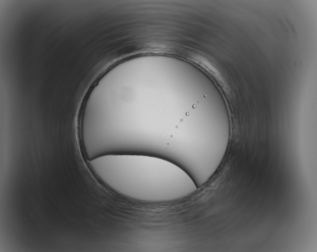 X0000089971283200706291058