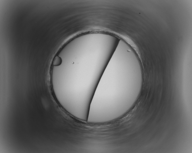 X0000089971287200706291058