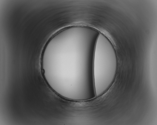 X0000089971288200706291058