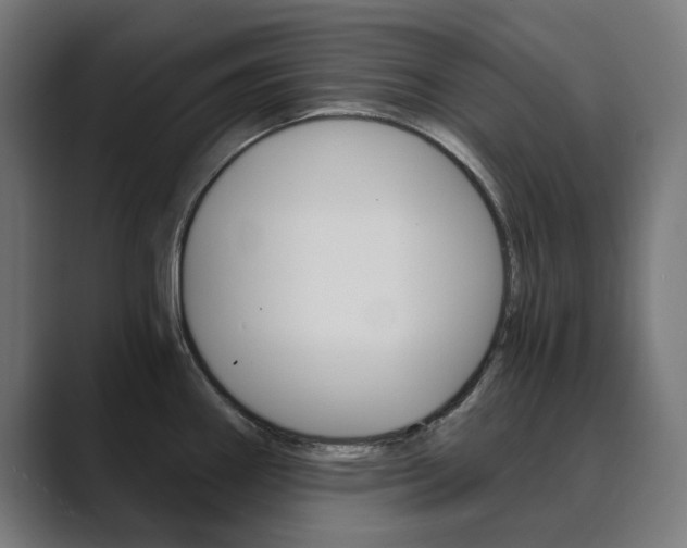 X0000089971290200706291058