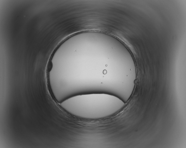 X0000089971291200706291058