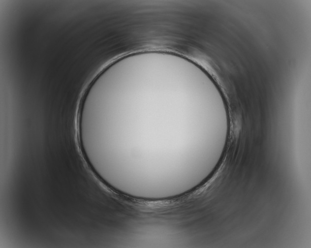 X0000089971294200706291057