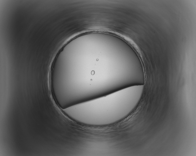X0000089971295200706291057