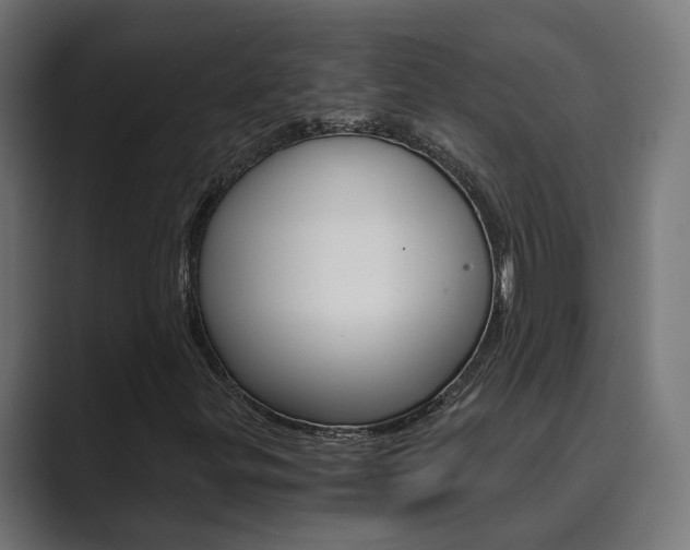 X0000089971299200706291057