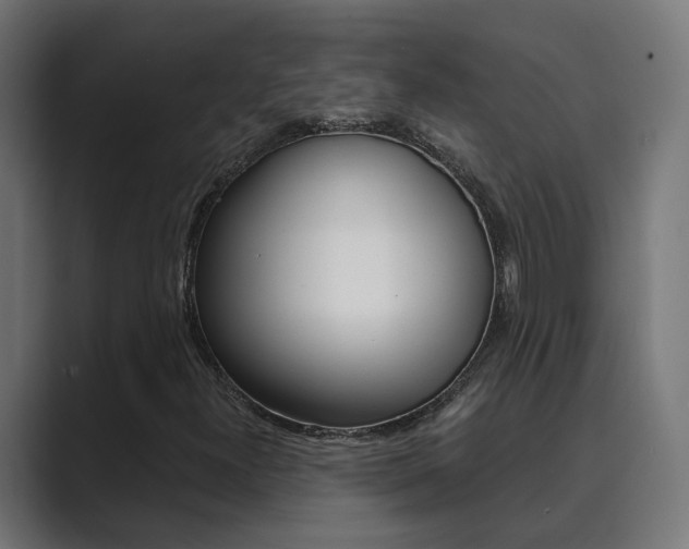 X0000089971300200706291057
