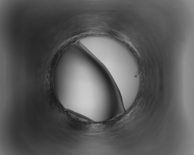 X0000089971304200706291057