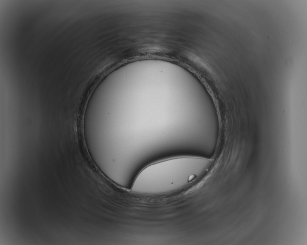 X0000089971305200706291057