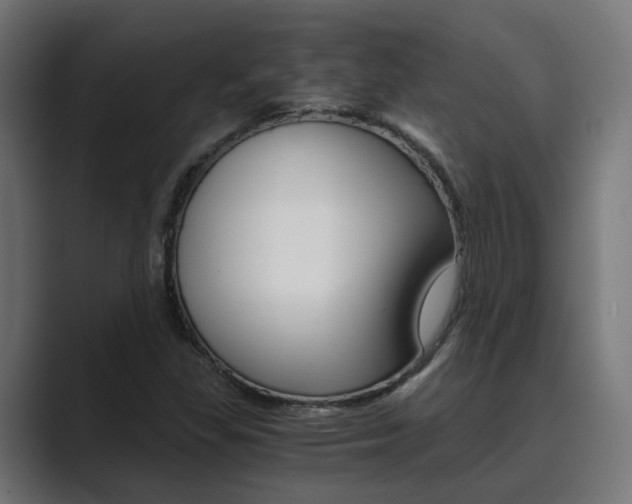 X0000089971309200706291057