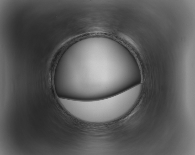 X0000089971310200706291057