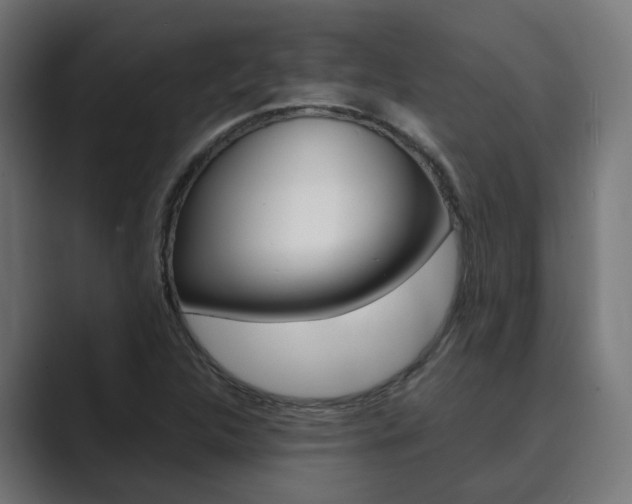 X0000089971312200706291057