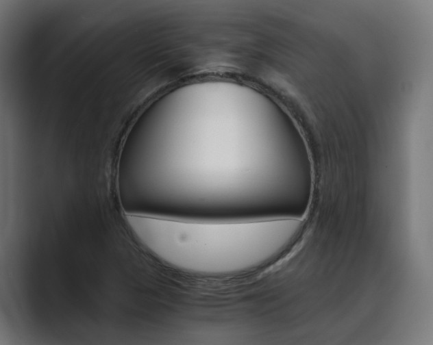 X0000089971313200706291057
