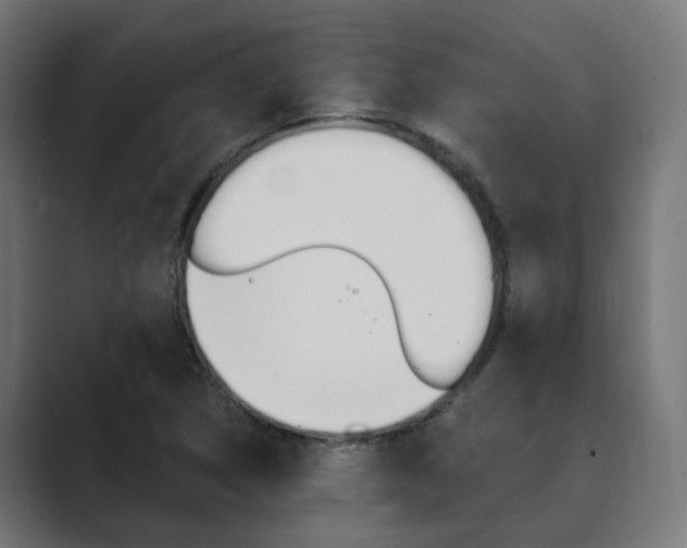 X0000089971314200706291057
