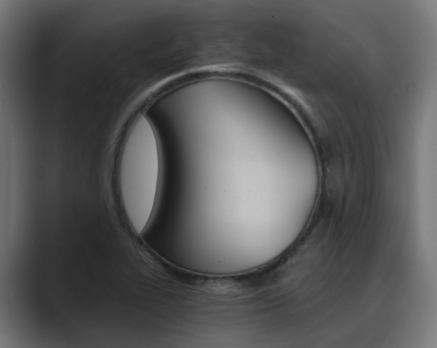 X0000089971319200706291057