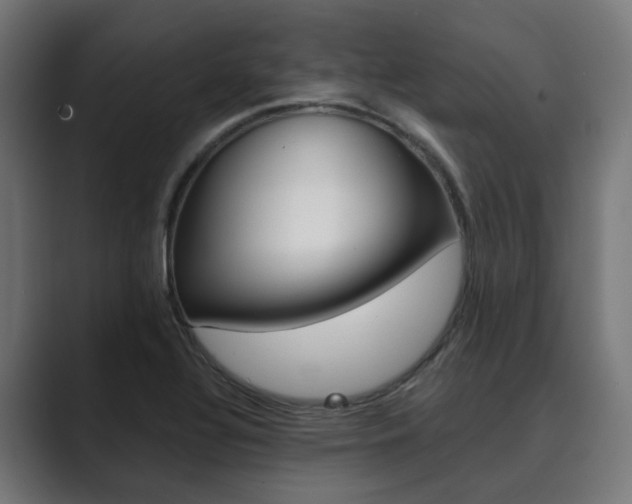 X0000089971320200706291057