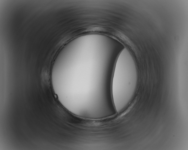 X0000089971321200706291057