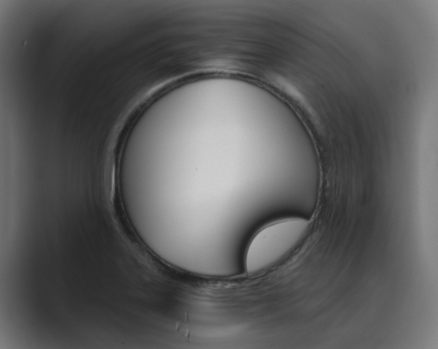 X0000089971323200706291057